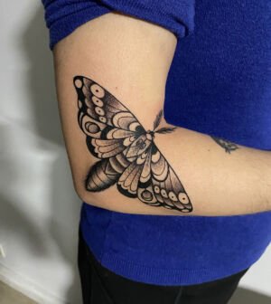 old school sphinx butterfly tattoo
