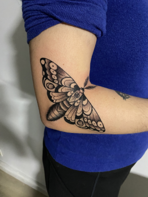 Sphinx Butterfly Tattoo Vittoriatattoo Studio-a-aubusson-23200-creuse
